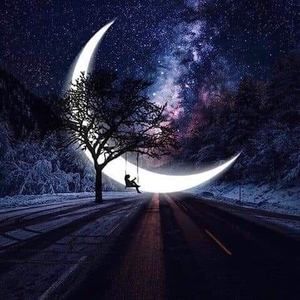 Meet your Posher, Margie